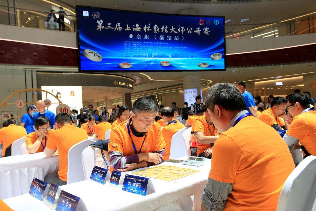 第三届上海杯象棋大师公开赛启动|象棋_新浪财经_新浪网