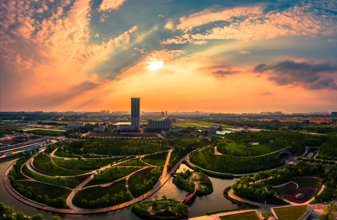 桃浦中央绿地公园实景图