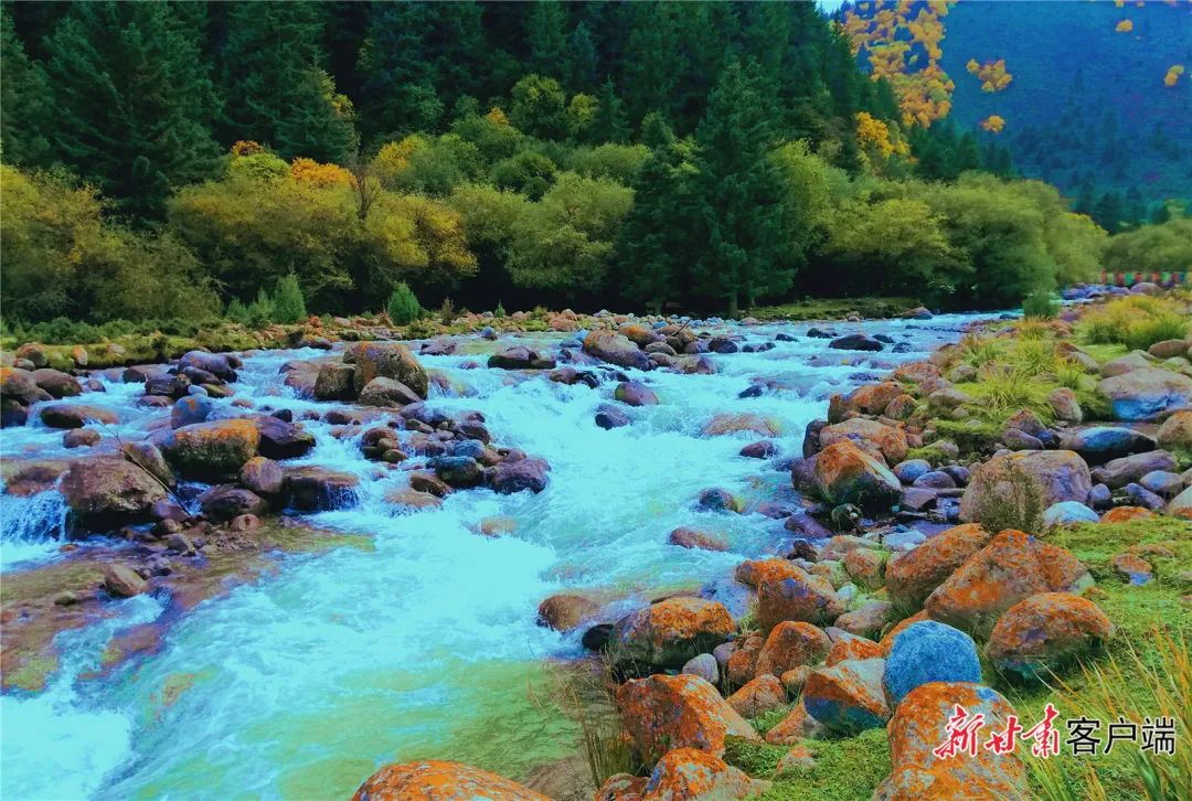 冰沟河水流清澈,充满生机.新甘肃·甘肃日报记者 金奉乾摄