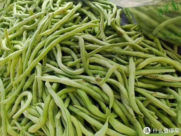 龙须豆:豆中之王的独特之处__财经头条