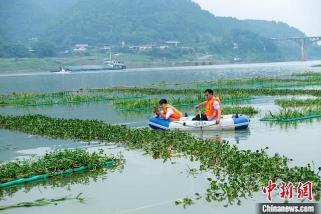 航拍广西内河最大人工鱼巢 面积堪比6个足球场__财经头条