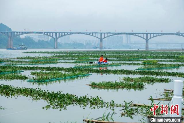 航拍广西内河最大人工鱼巢 面积堪比6个足球场__财经头条