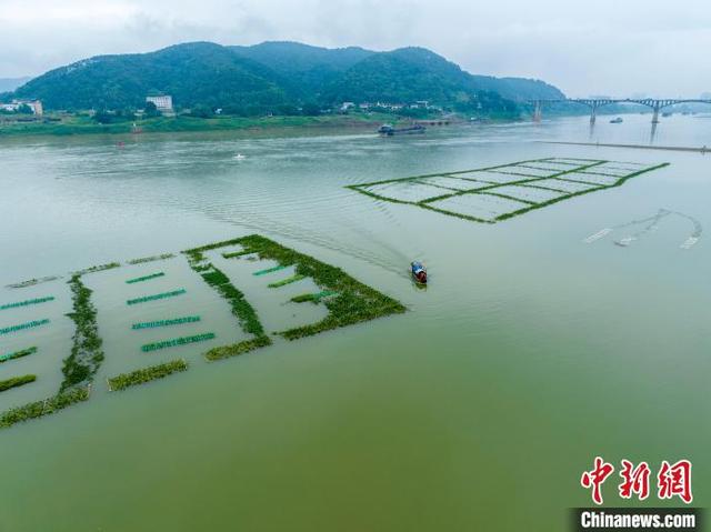 航拍广西内河最大人工鱼巢 面积堪比6个足球场__财经头条