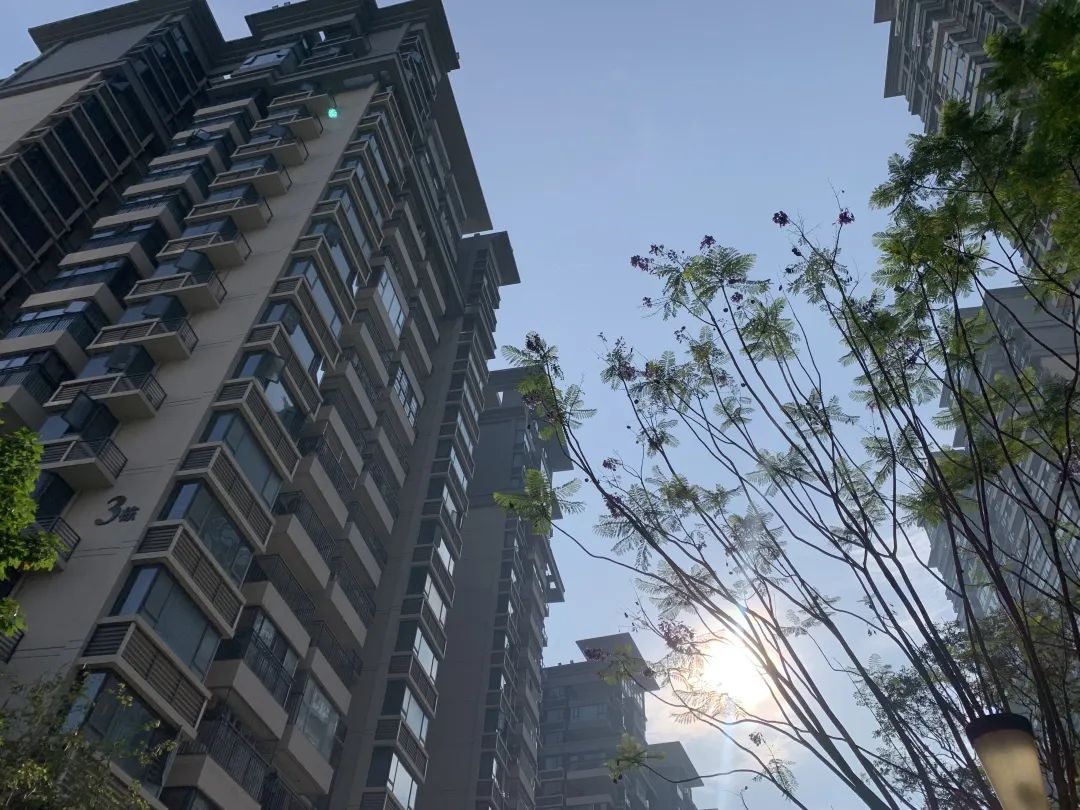 5月15日早上,南宁城区阳光灿烂.