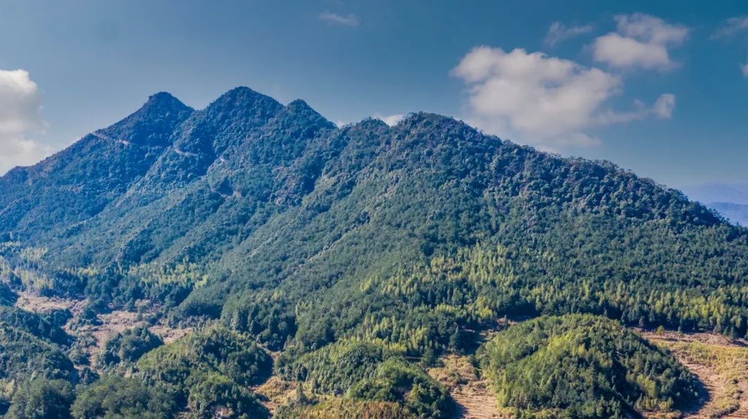 处于西城镇的七尺村,新阳镇的双里村和葛竹村,坂面镇的京口村和蒋坑村