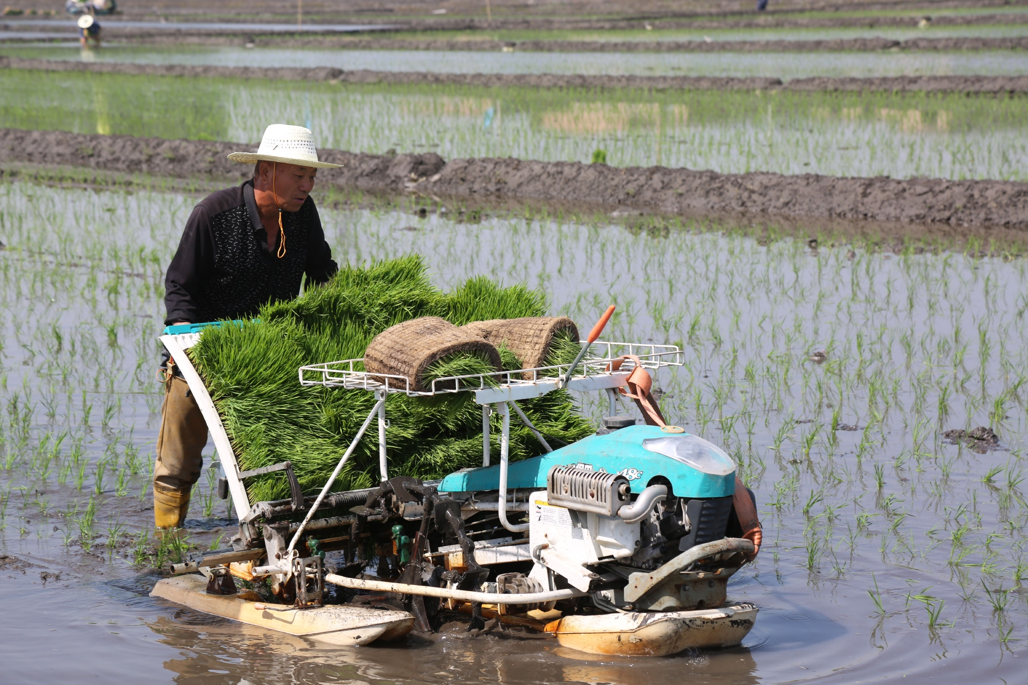 山西太原:"晋祠大米"奏响乡村振兴强音|太原市_新浪财经_新浪网