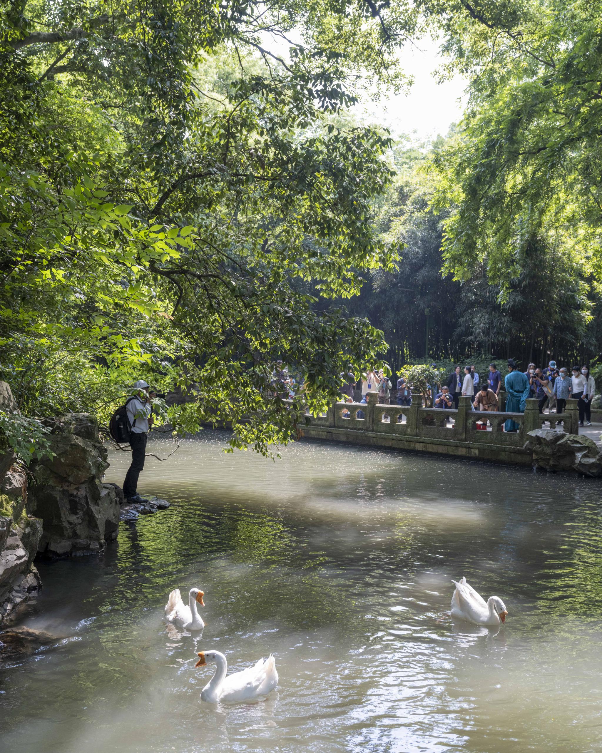 澎湃新闻记者 许海峰 图