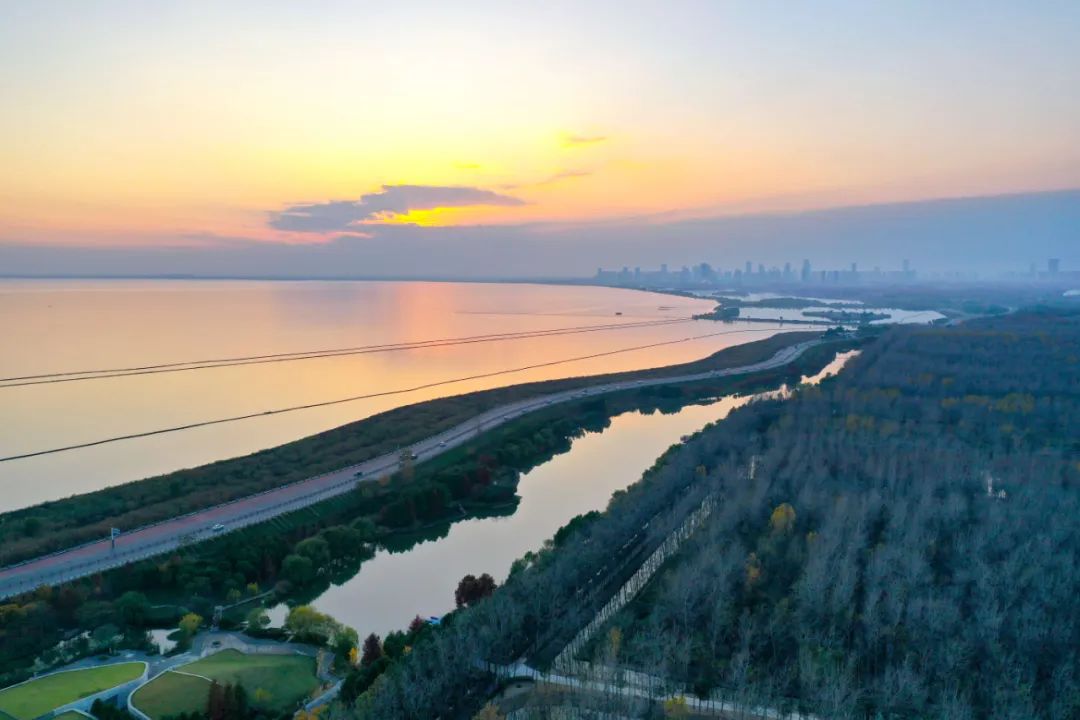 巢湖国家湿地公园(任逸玮/图)