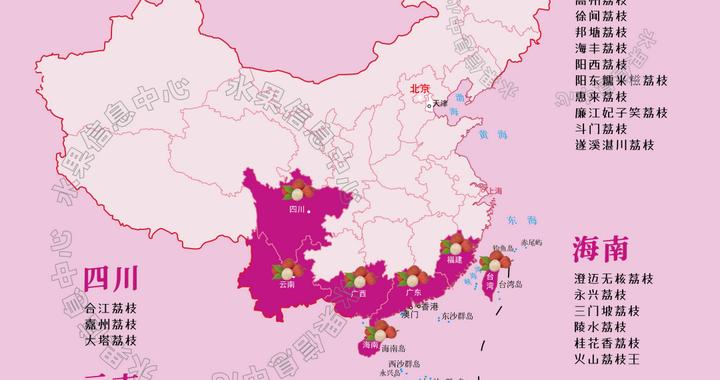 中国荔枝分布图|茂名市|广东省|上市|妃子笑|海南_新浪新闻