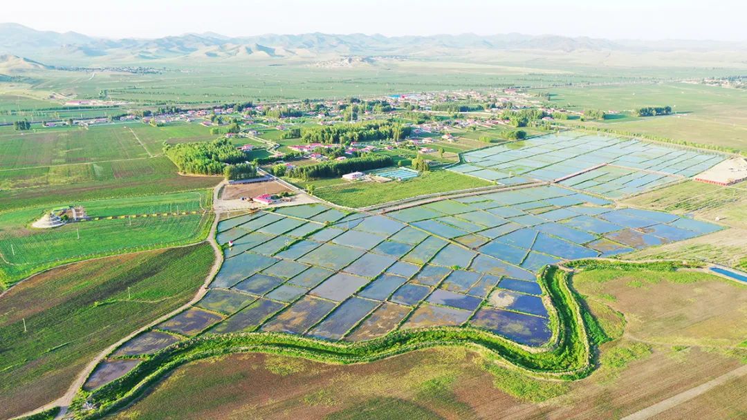 美翻了我的村第59期内蒙古科右中旗额木庭高勒苏木巴彦敖包嘎查幸福