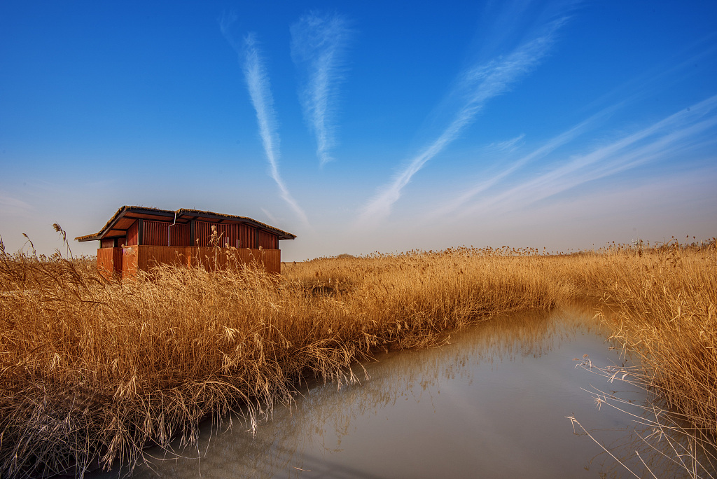 西沙湿地 视觉中国 创意图