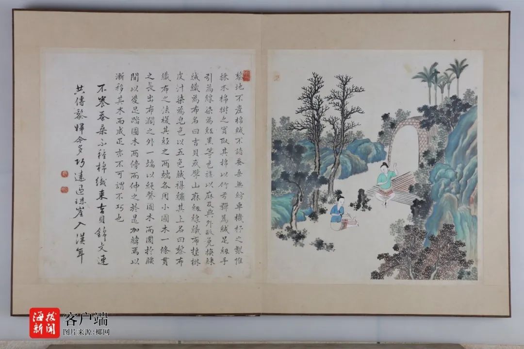 海南有“宝”！看着眼熟？去找找看！__财经头条