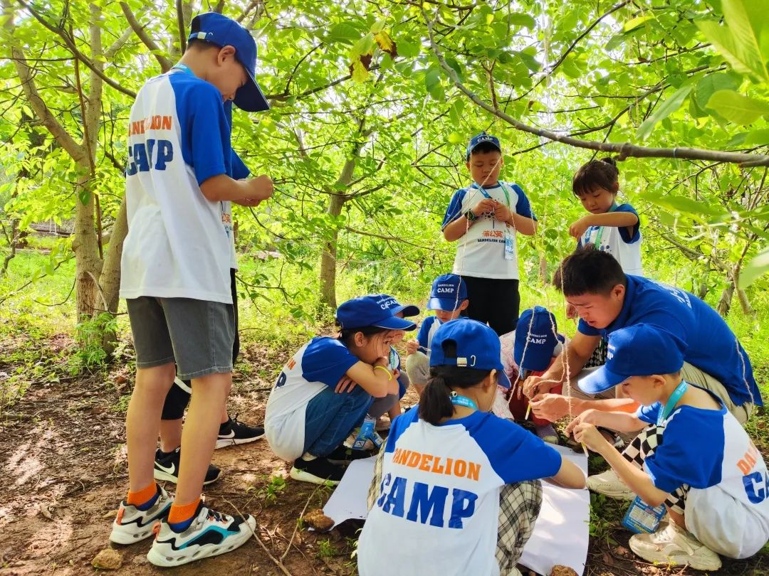 高山探险家孩子们的课堂在路上