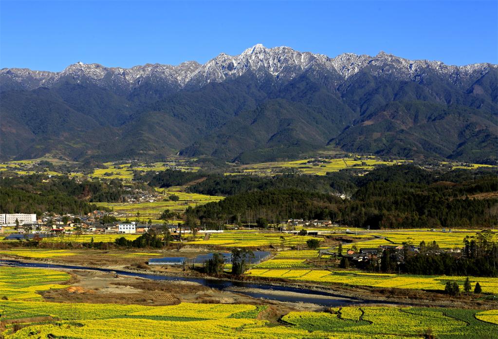 图为高黎贡山下的腾冲界头镇,春天油菜花盛开的图景.