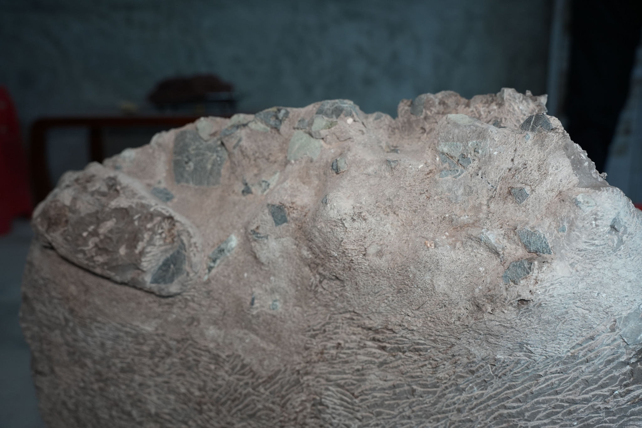 远古发现福建上杭首次发现恐龙蛋化石