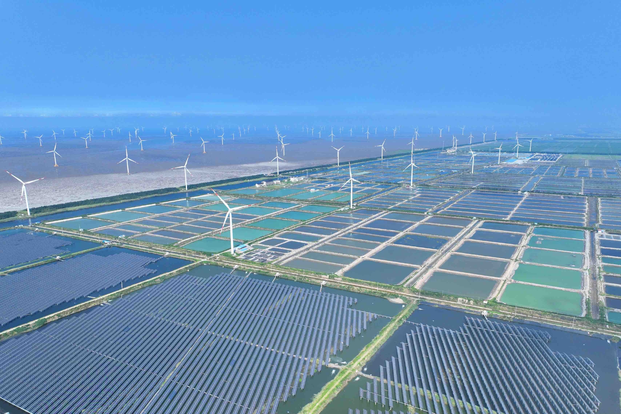光伏风电.受访者供图