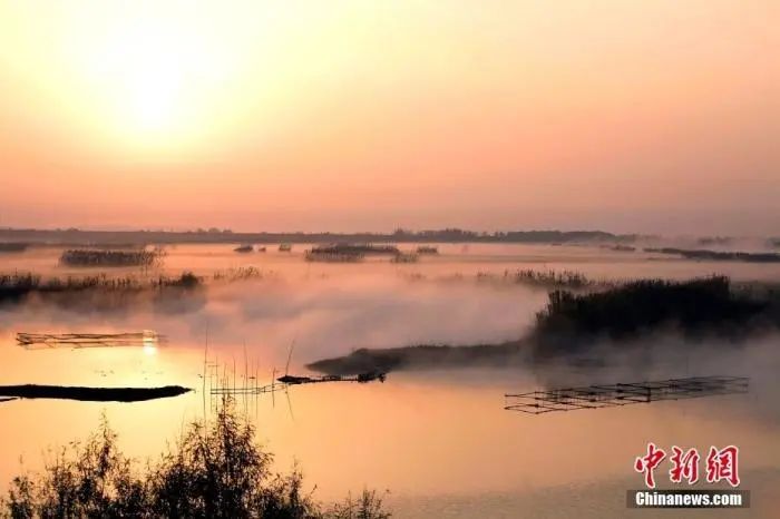 湖南东洞庭湖国家级自然保护区。图/ICphoto