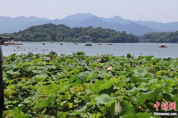 浙江省杭州市，夏季的西湖景色优美。来源：视觉中国