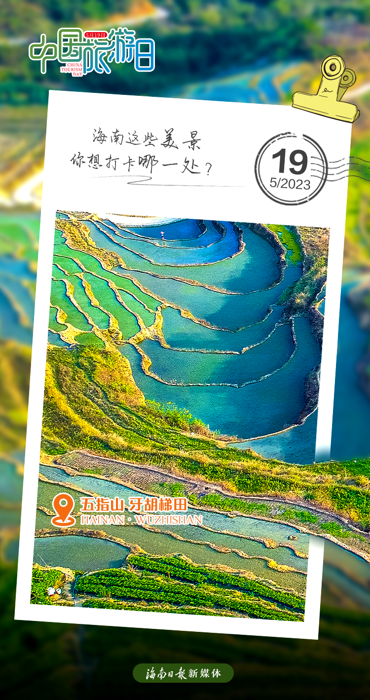 打卡海南专用明信片05|海南省_新浪财经_新浪网