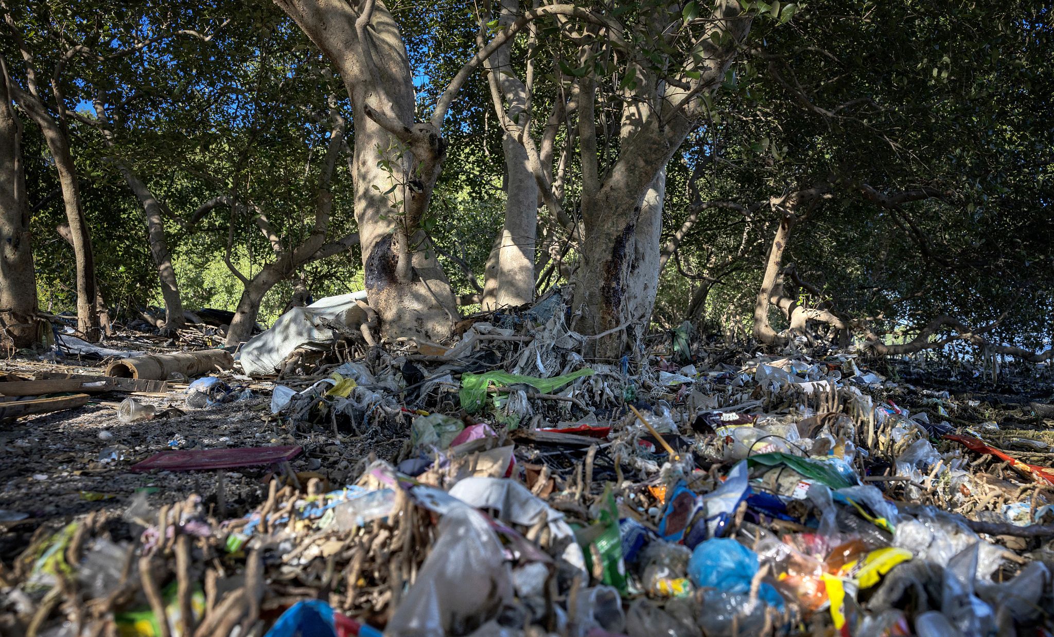 联合国环境署:政策导向和市场转型,可减少至80%塑料污染|菲律宾马尼拉