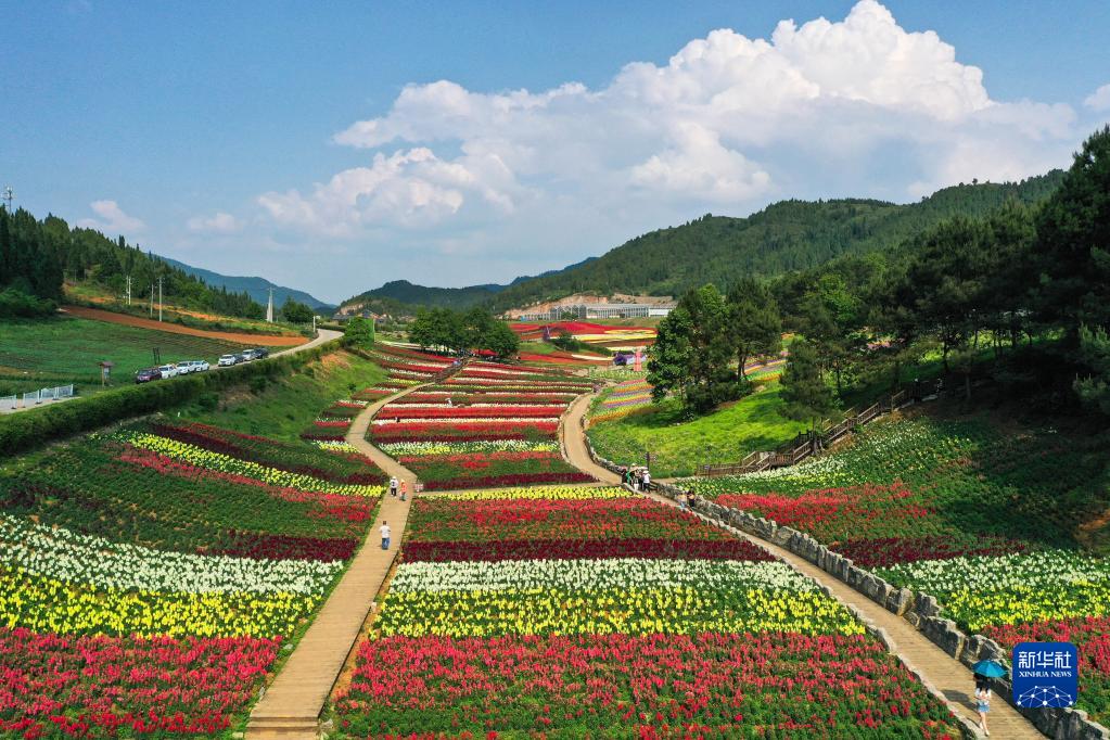 5月17日,游客在贵州省麻江县宣威镇药谷江村赏花(无人机照片).