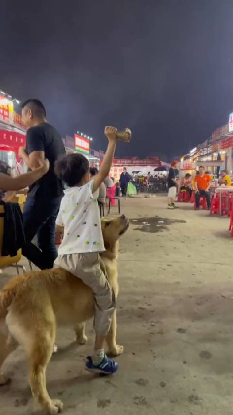 狗：饱狗子不知饿狗子饥！你为了一口饭吃低过头吗？|狗_新浪新闻