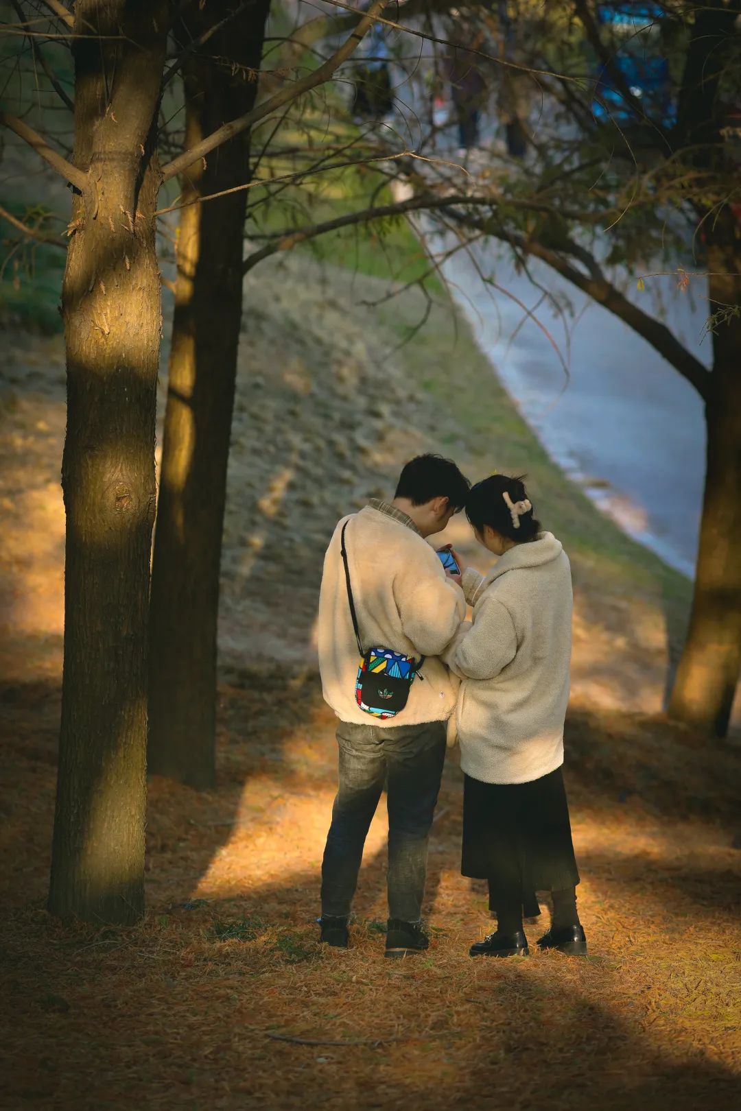 章鱼木木不美丽(99上海植物园)