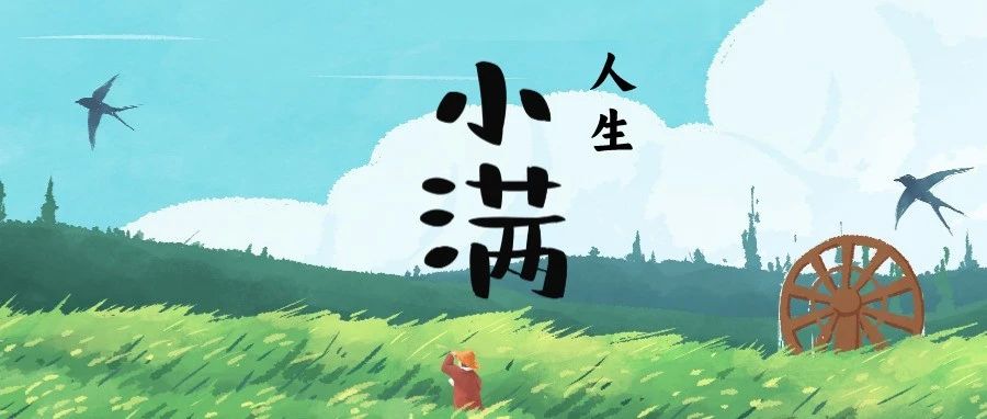 小满，刚刚好！|刚刚好|余欢|苦菜_新浪新闻