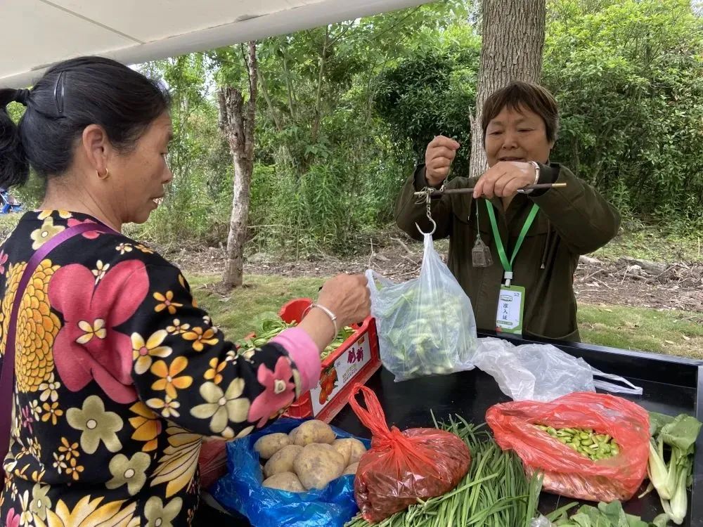 做生意再不用打游击,奉贤"马路菜场"变身"经营疏导点"|疏导点准入证_