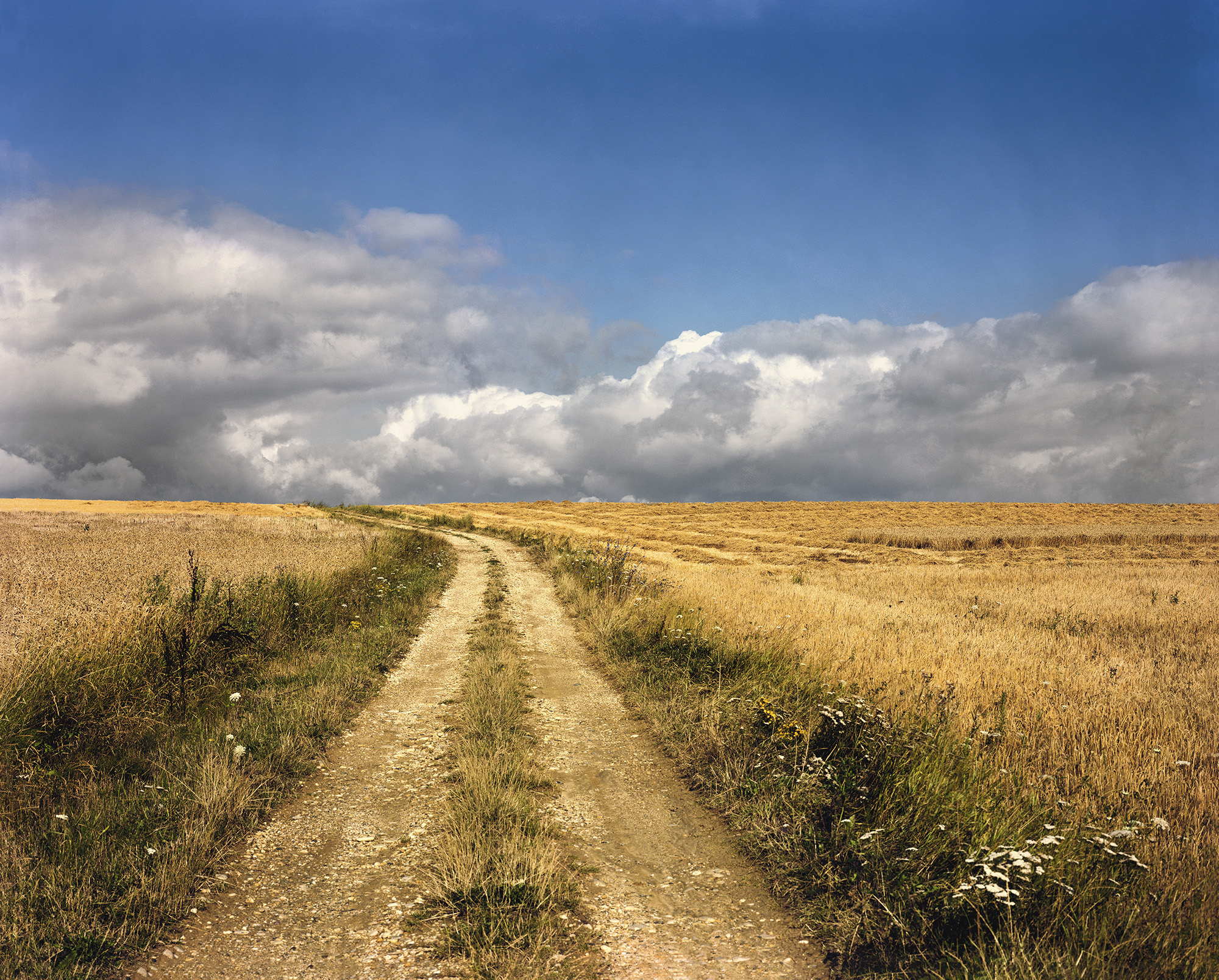 布雷斯平原,1984年.08雷蒙·德巴东/玛格南图片社