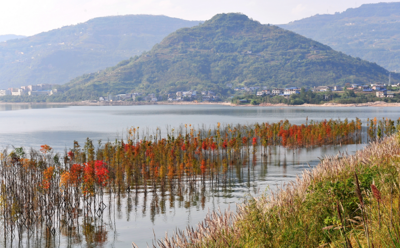 开州汉丰湖湿地公园 重庆市林业局供图