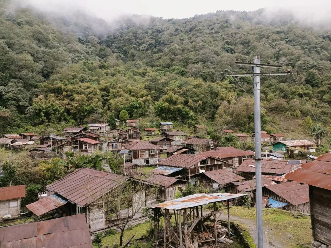 大的村子里来回觅食……进入初夏,三峡集团驻巴登村工作队队长周雨树