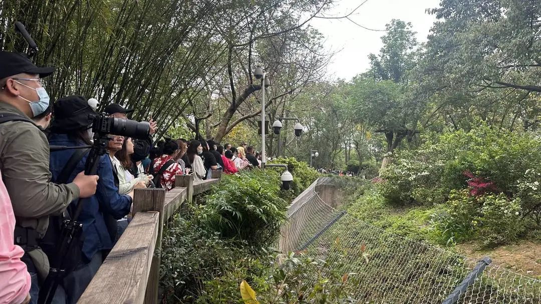 对于突然的走红,谢文表示,这都是他们的本职工作,只是希望通过这样的