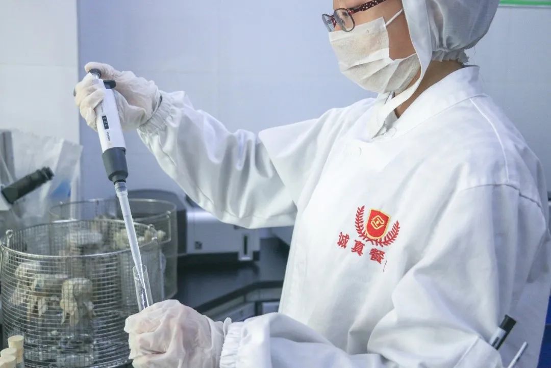 数字化产业链与创新链双驱动佳沃守稳筑牢食品安全防护墙