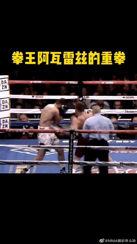 拳王阿瓦雷兹的重拳