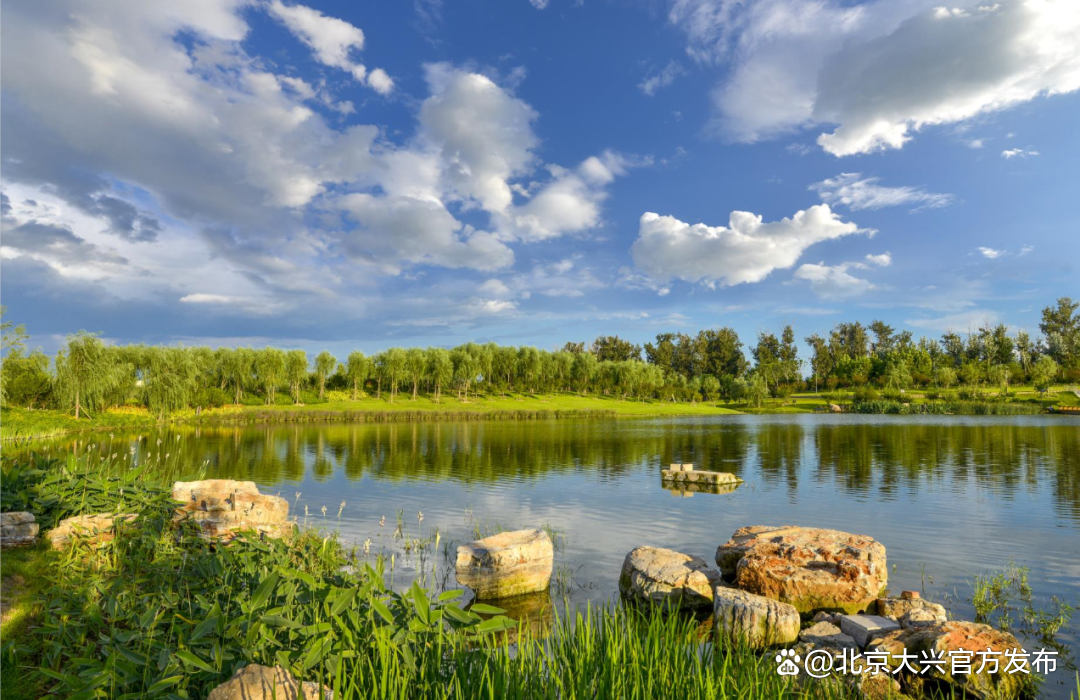 万木妆成 众鸟高飞——大兴区生物多样性保护成效显著|大兴区_新浪