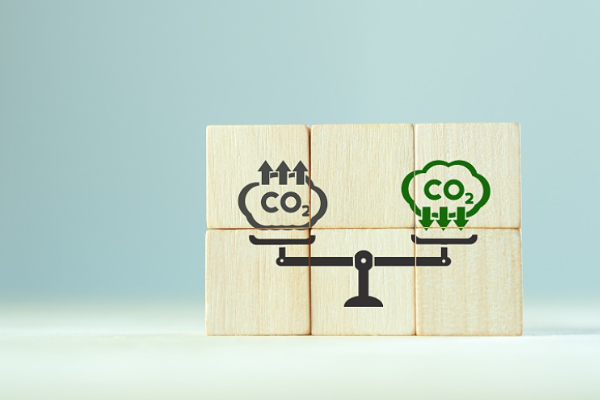 公司主营业务包括气候产品开发交易、碳资产管理、绿色咨询等，目前已形成整体化的一站式低碳服务链。