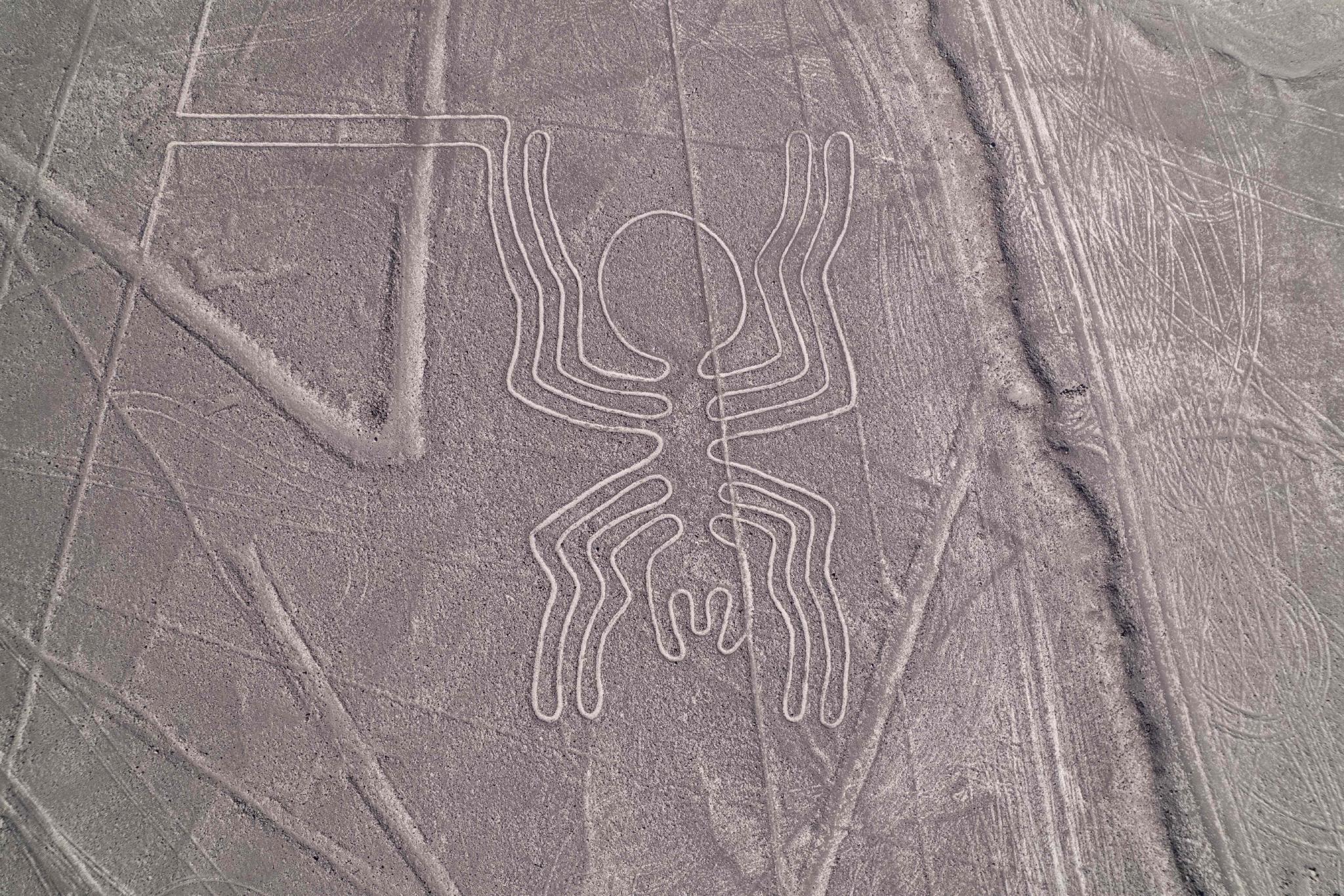 神秘的秘鲁纳斯卡地画