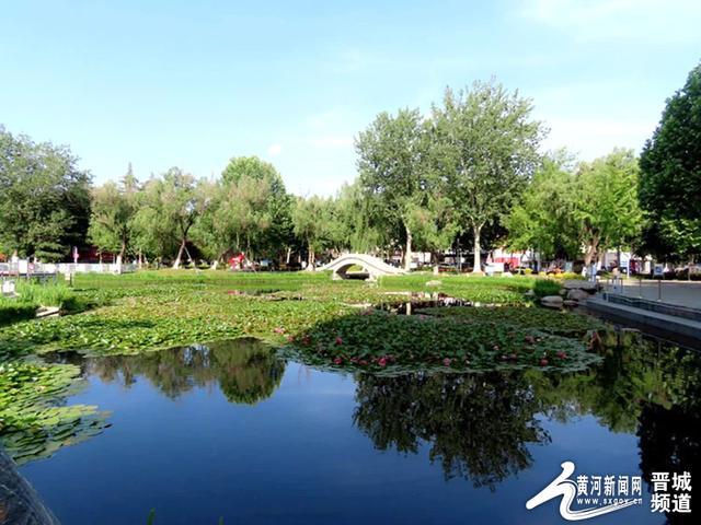 晋城儿童公园:出水莲花正娇艳|晋城市_新浪财经_新浪网
