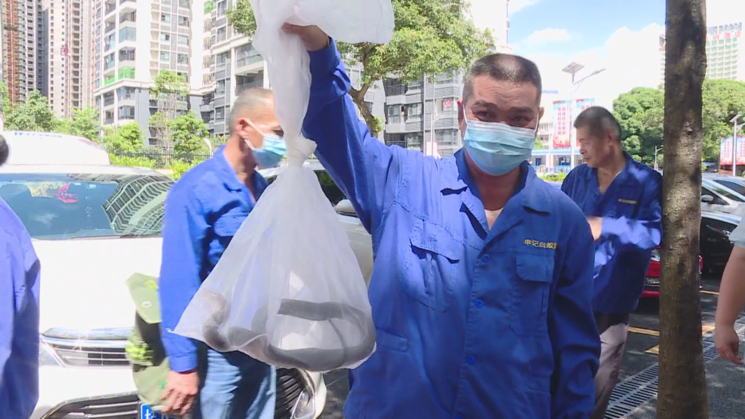 大蟒蛇为什么会救人 蟒蛇真的会报恩吗