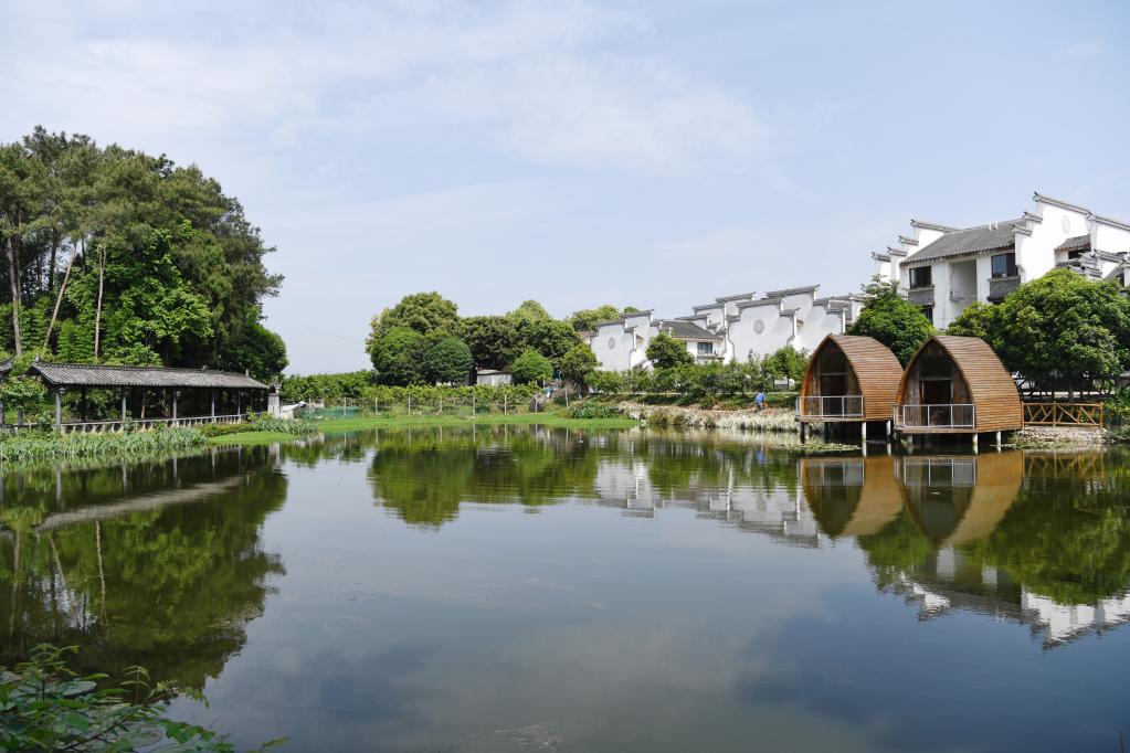 成都蒲江县铁牛村一角.新华社记者 邢拓 摄