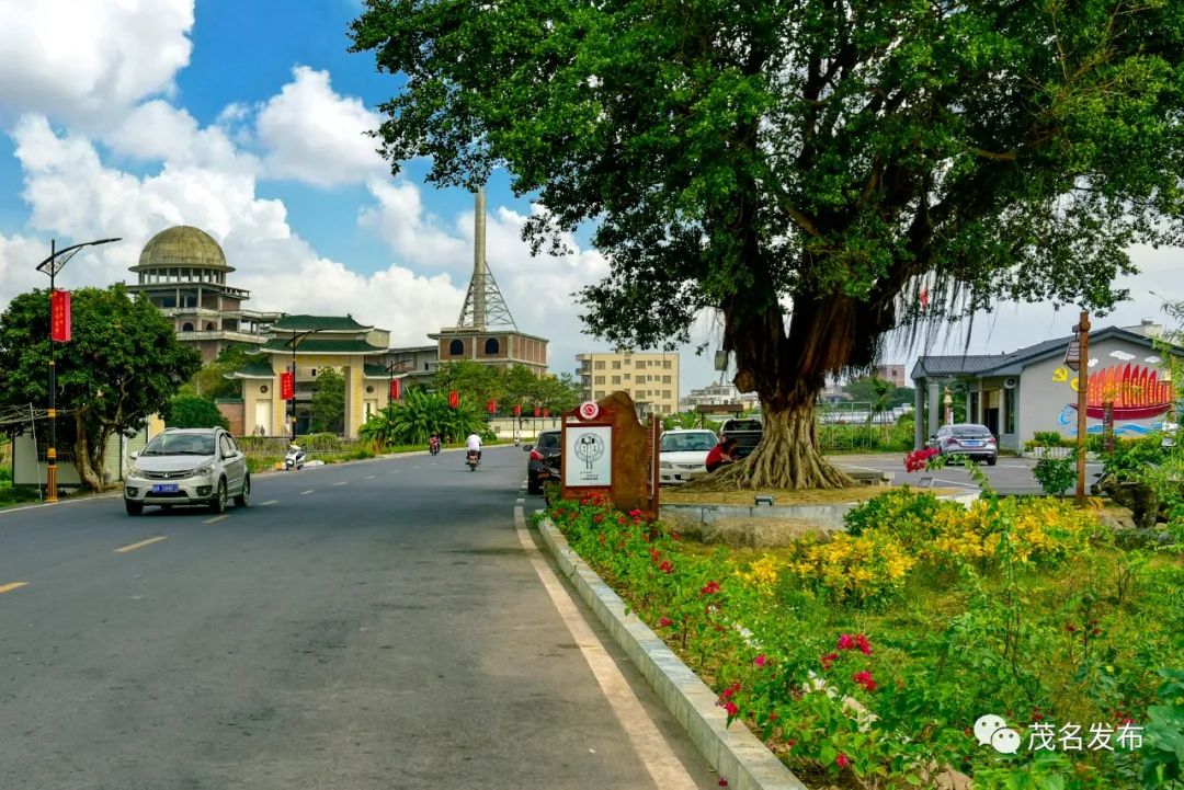 我市在外乡贤回乡助力乡村振兴.图为干净美丽的电白区林头镇槟榔村.