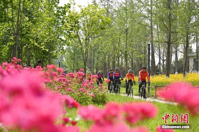 5月25日,骑行者在苗木基地绿道骑行锻炼.中新社记者 毛建军 摄