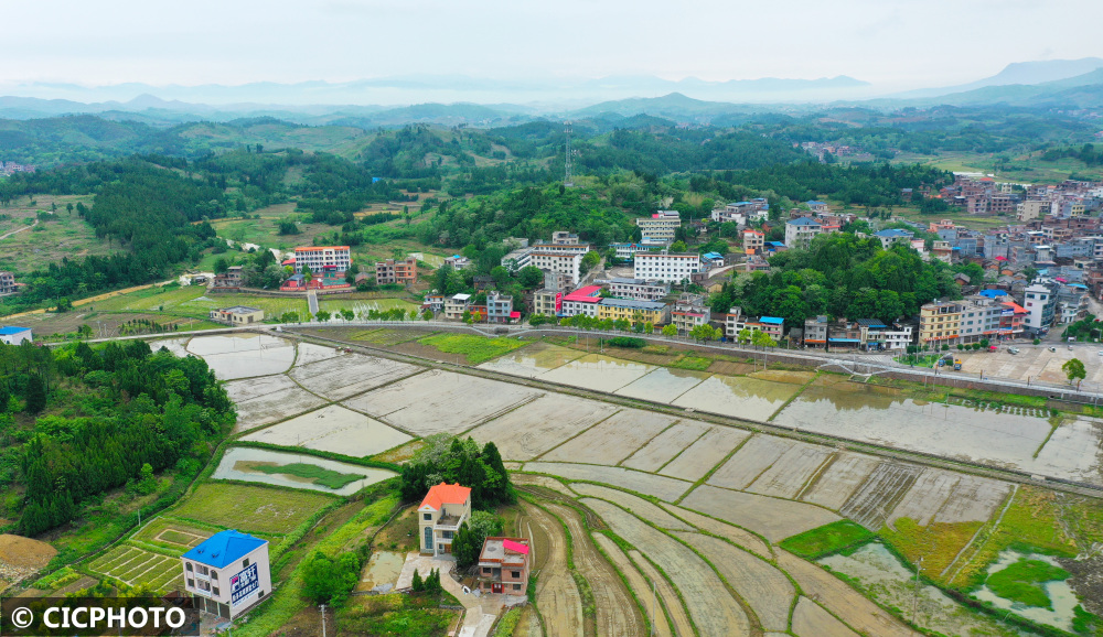 摄↑2023年4月20日在江西省吉安市吉水县白水镇院背村拍摄的景色