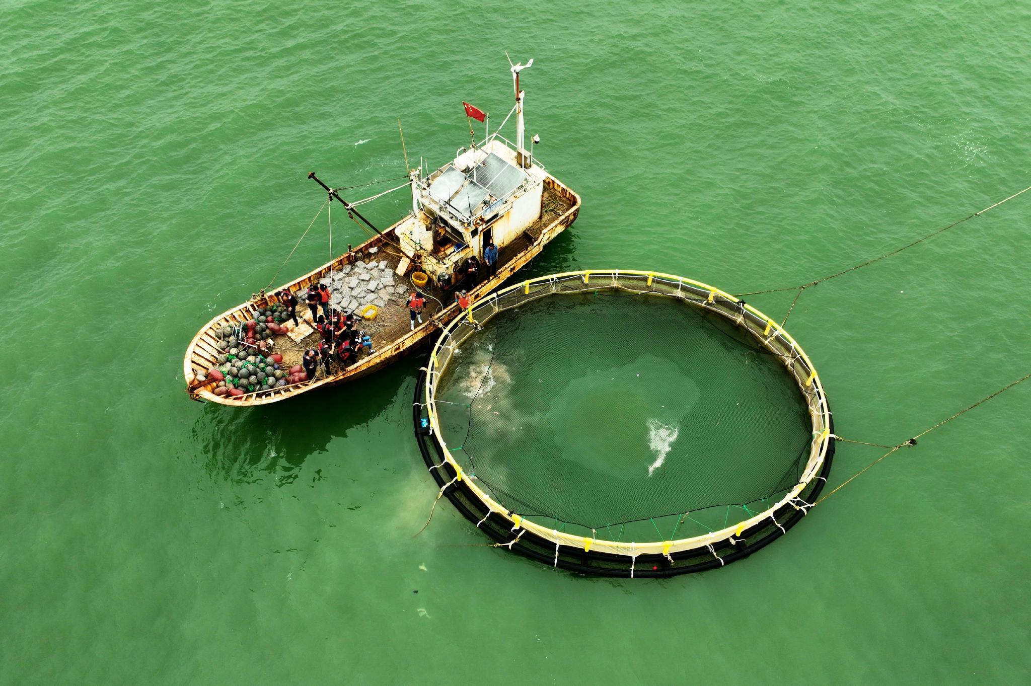 山东日照海洋牧场赋能渔业养殖高质量发展