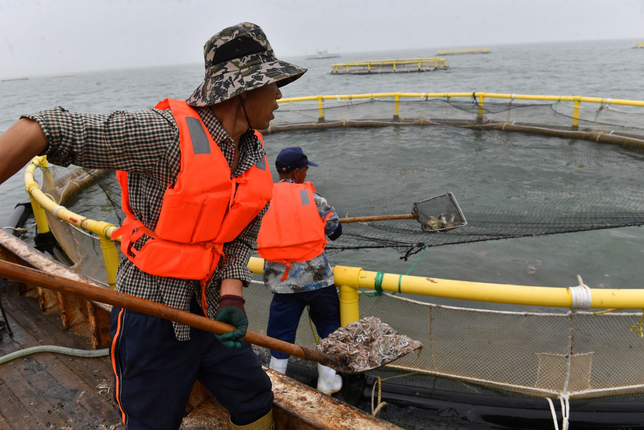 山东日照海洋牧场赋能渔业养殖高质量发展