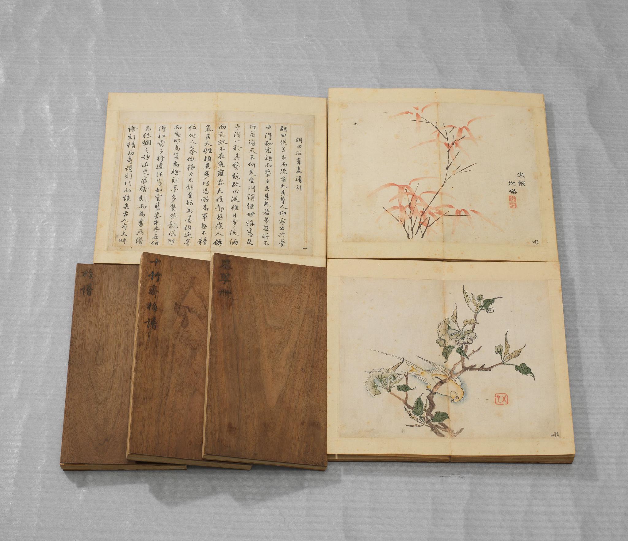 《十竹斋画谱》