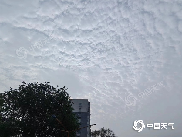 成都未来三天气温将回升，夜间还是冷，最低-2℃