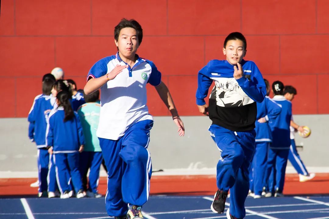 不简单,杨镇二中入选全国首批健康学校|体育_新浪财经_新浪网