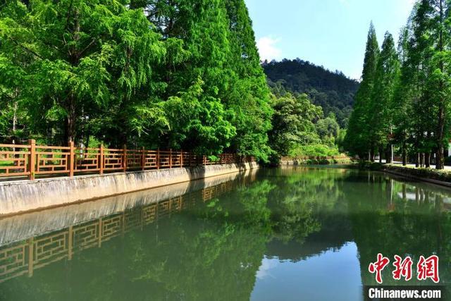 探访福建将乐龙栖山国家级自然保护区 景色如画|张斌_新浪财经_新浪网